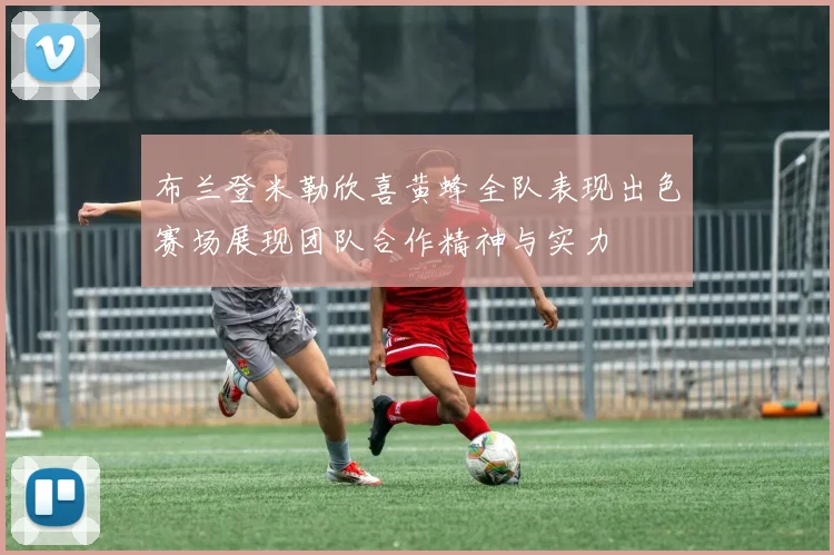 布兰登米勒欣喜黄蜂全队表现出色赛场展现团队合作精神与实力