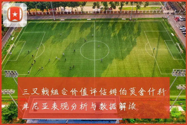 三叉戟组合价值评估姆伯莫舍什科库尼亚表现分析与数据解读
