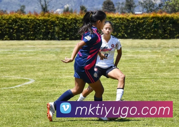 MK体育APP 封面图